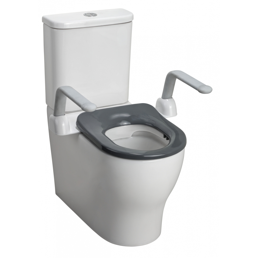 Sentinel Toilet Armrest