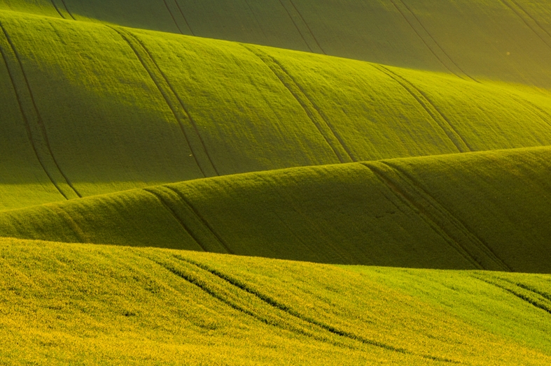 Aura Contour Accessories -  Pure Form. Refined Style